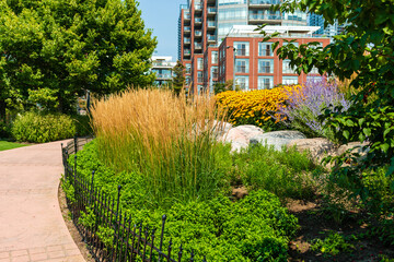 flowering footpath at Toronto Music Garden, waterfront, flower assortment landscape