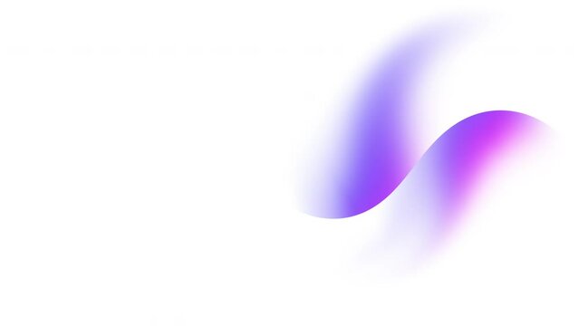 abstract blue, purple and pink gradient smooth curve waves flowing on white background. Seamless looping animation