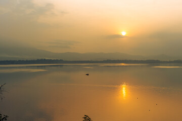 Obraz premium natural background of many species of plants that are laid out in the park, for the propagation of the species and to provide shade for those who stop by while traveling to study the ecology.