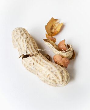 Peanuts And Shell On A White Background; Chilliwack, British Columbia, Canada