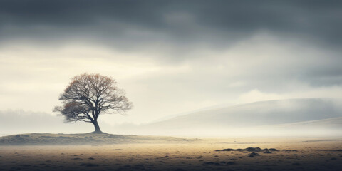 A lone tree in a field on a foggy day