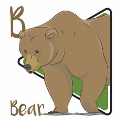 Obraz premium bear ears are mammals that belong to the family Ursidae. They're found throughout North America, South America, Europe, and Asia. They have nonretractable claws and short tails.