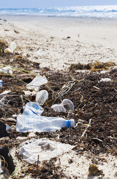 The Plastic Pollution And Debris Along The Beach In The Carribbean, A Byproduct Of Resorts And Tourism Having An Environmental Impact On The Pristine Beaches; Varadero, Cuba