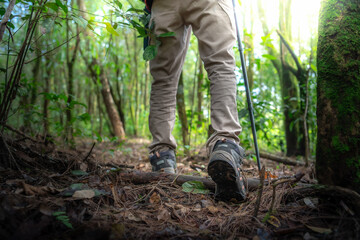 Close up shoe,Hikers on their adventure in forest.