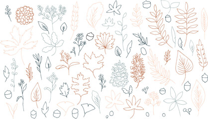 秋の植物ベクターイラスト。秋の紅葉と木の実の背景セット。可愛い落ち葉のベクターイラスト。Autumn plants vector illustration. Autumn leaves and nuts background set. Cute falling leaves vector illustration.