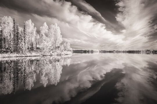 Digital Infrared Ir Capture Of Scenic, Calm Lake With Cloud And Tree Reflections On Willow Lake In The Matanuska-Susitna Borough; Willow, Alaska, United States Of America