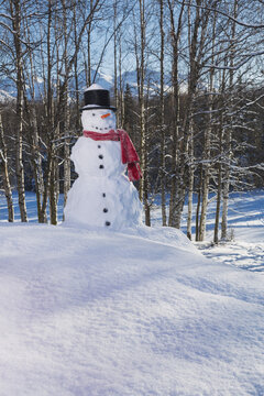 Snowman Wearing A Red Scarf And Black Top Hat In A Wooded Park With Snow Covered Mountains And Blue Sky In The Background; Anchorage, Alaska, United States Of America