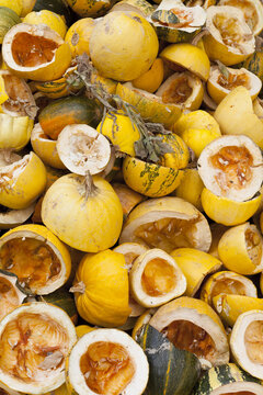 Pumpkins Left At The Side Of The Road After The Seeds Had Been Extracted; Goreme, Cappadocia, Turkey