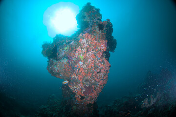 A tropical coral reef column with the sun reflection on the surface behind