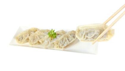 Gyoza (Japanese Dumplings) isolate in white