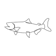 Salmon fish single line illustration template