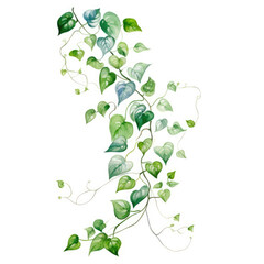 A vibrant painting of a vine with lush green leaves