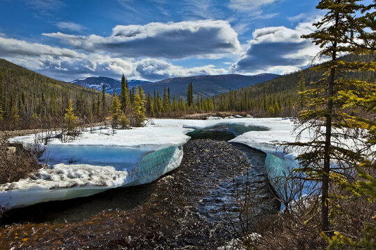 Monument Creek Meanders Through Melting Snow In Early Spring, Chena River State Recreation Area; Fairbanks, Alaska, United States Of America