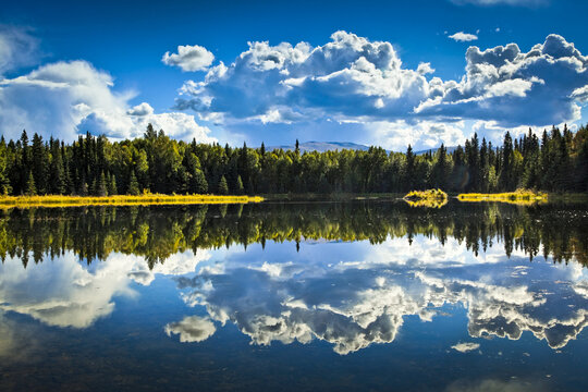 Clouds And Boreal Forest Reflect On 48 Mile Pond, Chena River State Recreation Area; Fairbanks, Alaska, United States Of America