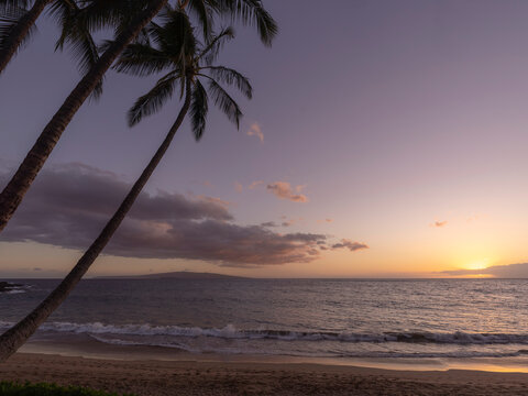 Silhouette of tropical palm trees along the shore at Ulua Beach with a golden sun reflecting on the Pacific Ocean at twilight; Kihei, Wailea, Maui, Hawaii, United States of America