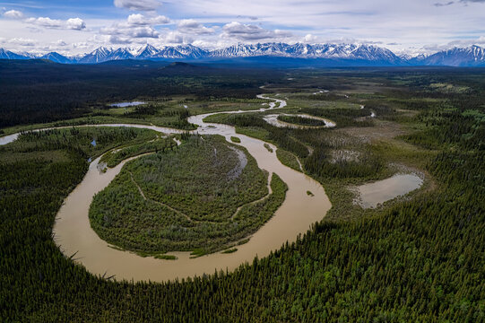 Stunning aerial shot of a river loop flowing through the forested landscape as it heads towards the mountains near Haines Junction; Yukon, Canada
