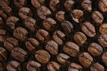 Coffee beans closeup background