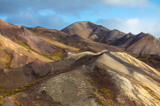 Multi colored mountains in Sable Pass, give sense to a previous active time in Denali geology, taken on an autumn blue sky day, Denali National Park; Alaska, United States of America