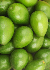 Green avocado close-up. Avocado as background.