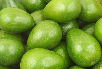 Ripe avocado close-up. Avocado background.	