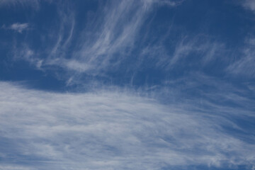 Thin clouds in the morning sky