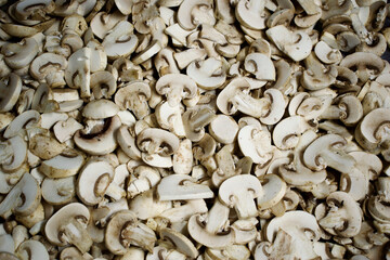 close up of mushrooms