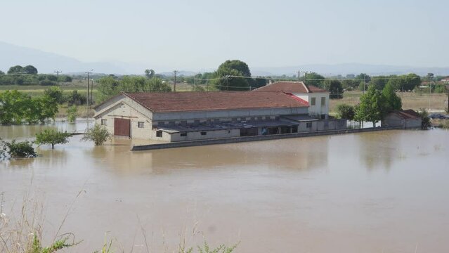 Sheep far house submerged in water Greece Floods Thessaly September 2023