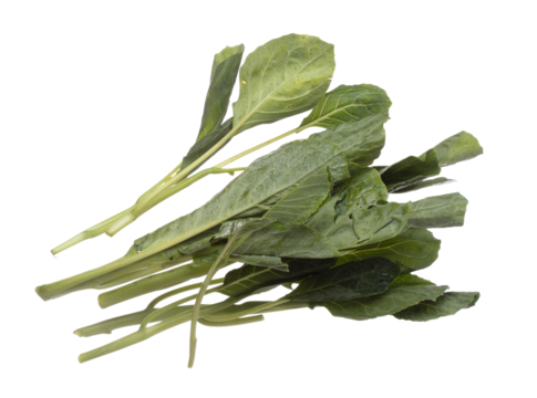 Kale fly in mid air, green fresh vegetable chinese kale falling. Organic fresh vegetable with eaten leaf of chinese kale, heap close up texture. White background isolated freeze motion high speed