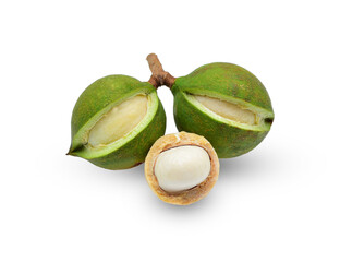 Fresh macadamia nuts on white background.