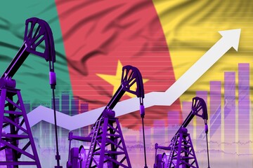 rising up chart on Cameroon flag background - industrial illustration of Cameroon oil industry or market concept. 3D Illustration