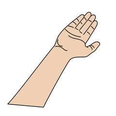 Illustration of human hands