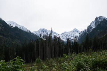 Snowy mountains, green forests In National park Zakopane Poland. Mountain nature landscape. Blue sky. Travel outdoors green tourism concept Naturecore. Hiking wellbeing 