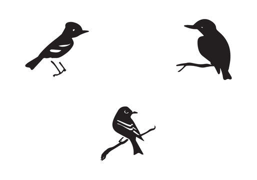 Minimal style beautiful bird icon illustration vector design