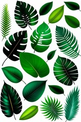 Fototapeta na wymiar vector tropical leaves (2)
