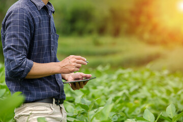 Hands of farmer, Agriculture technology farmer man using tablet Modern technology concept agriculture.