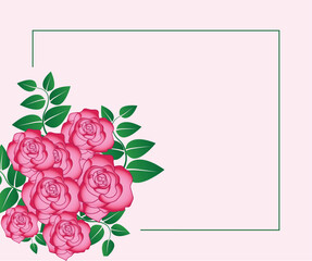 Roses illustration design premium vector.