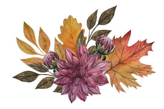 Watercolor illustration, composition with red dahlia, autumn fallen leaves. Isolated clipart for harvest illustration design, Thanksgiving, card design, patterns, scrapbooking, fabric or promotioms