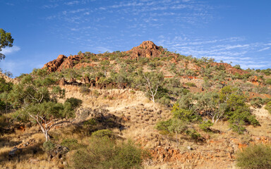 Rehabilitated landscape on an abandoned uranium mine in Queensland, Australia.