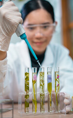 Asian woman scientist plant science laboratory research, biological chemistry test, green nature...