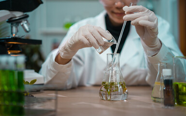 Asian woman scientist plant science laboratory research, biological chemistry test, green nature organic leaf experiment in test tube.