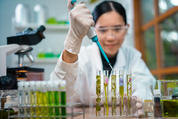 Asian woman scientist plant science laboratory research, biological chemistry test, green nature organic leaf experiment in test tube.