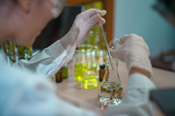 Asian woman scientist plant science laboratory research, biological chemistry test, green nature organic leaf experiment in test tube.