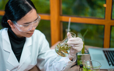 Asian woman scientist plant science laboratory research, biological chemistry test, green nature...