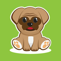 Little French Bulldog