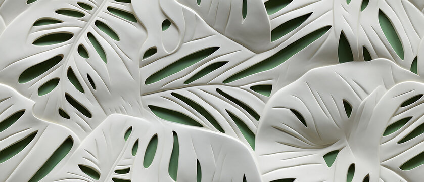 White monstera leaves with different sizes and shapes