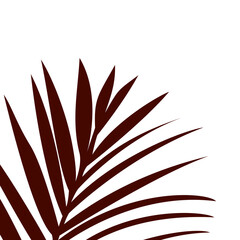 silhouette of palm tree leaf on a white background as footer corner border frame