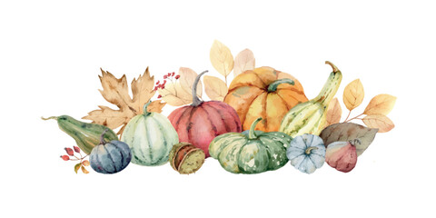 Watercolor vector autumn arrangement with colorful pumpkins and foliage. Perfect for a Thanksgiving decoration, Harvest Day,  invitations, greeting cards. Hand painted  illustration.