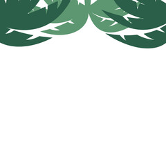 decorative element frame border header or footer with palm or coconut tree leaves