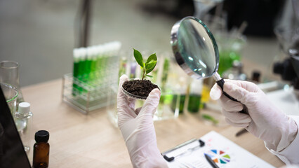 Scientist female researching with plant biotechnology concept with in laboratory.
