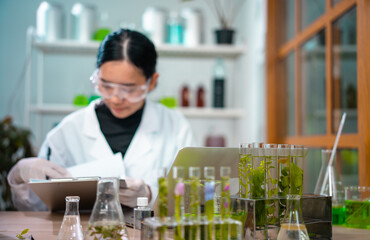 Asian woman scientist plant science laboratory research, biological chemistry test, green nature...